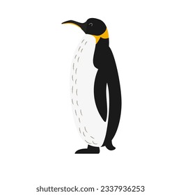 Arctic penguin. Vector illustration in flat style. White isolated background.