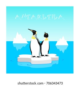 Arctic penguins on an ice floe, vector illustration.