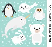 Arctic polar animal set. White bear, owl, penguin, Seal pup baby harp hare rabbit narwhal unicorn-fish. Kids education cards. Blue background with snow flake Isolated. Flat design. Vector illustration