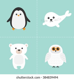 Arctic polar animal set. White bear, owl, penguin, Seal pup baby harp. Kids education cards. Blue background. Isolated. Flat design. Vector illustration