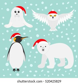 Arctic polar animal set. White bear, owl, king penguin Emperor Aptenodytes Patagonicus, Seal pup baby harp Red Santa hat Merry Christmas card. Winter antarctica blue snow background Flat design Vector