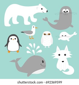 Arctic polar animal set. White bear, owl, penguin, Seal pup baby harp sea lion fox wolf whale albatross seagall. Kids education cards Cute cartoon character Blue background Isolated Flat design Vector