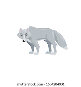 Arctic polar wolf. Cartoon flat style illustration of polar and arctic animal. Vector illustration for kids, education. Isolated on white background.