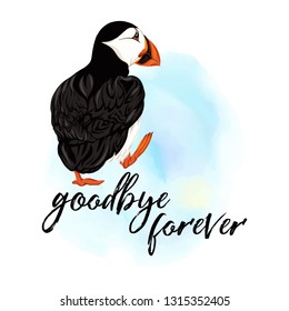 Arctic Puffins  with goodbuy forever slogan. Vector illustration.