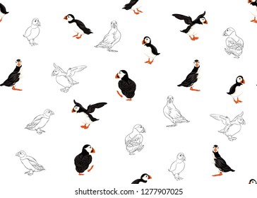 Arktische Puffins nahtloses Muster. Farbiges und umrissenes Design. Vektorgrafik.