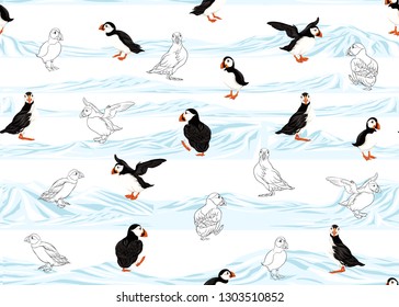Arctic Puffins seamless pattern. Colored and outline design. Vector illustration.
