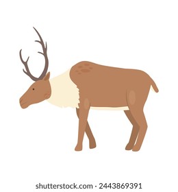 Arctic reindeer animal. Arctic and antarctic animals, snow fauna cartoon vector illustration