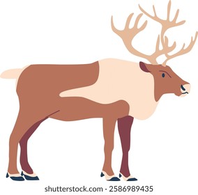 Arctic reindeer animal vector illustration