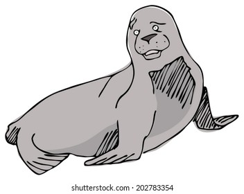 Arctic seal