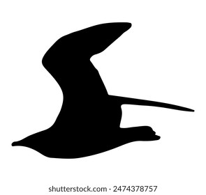 Arctic Skua vector. Arctic Skua vector icon in flat style.