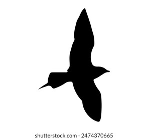 Skua ártica. Vector Imagen. Fondo blanco.