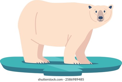 Arctic snowy bear animal vector illustration