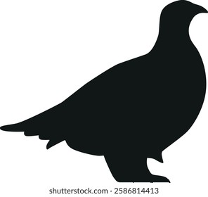 Arctic tern bird black-and-white vector illustration