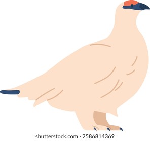 Arctic tern bird vector illustration