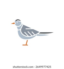 icône à plat en couleur de sterne arctique pour les projets numériques et d'impression. Les animaux arctiques. Icônes de nettoyage minimal pour les applications et les sites web. Icônes simples modernes pour UI UX et branding