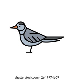 icône de ligne de couleur de sterne arctique pour les projets numériques et imprimés. Les animaux arctiques. Icônes de nettoyage minimal pour les applications et les sites web. Icônes simples modernes pour UI UX et branding