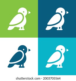 Artic Tern Flat cuatro colores conjunto mínimo de iconos