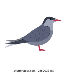 Arctic tern icon clipart avatar logotype isolated illustration