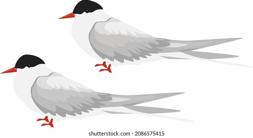 Linterna ártica, ilustración, vector sobre un fondo blanco.