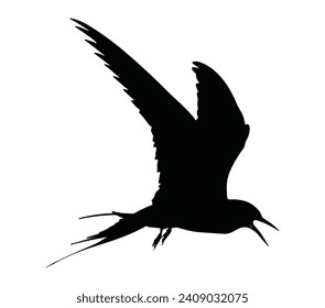 Arctic tern silhouette icon. Vector image.