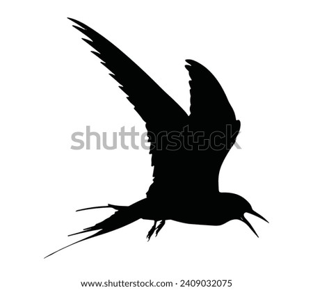 Arctic tern silhouette icon. Vector image.