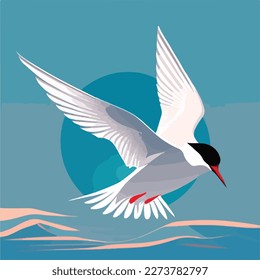 Arctic tern in arctic skies. Arctic birds in natural habitat. Flat vector illustration concept