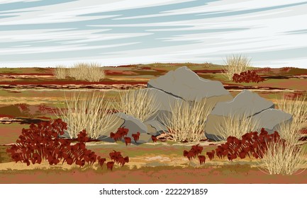 Arctic tundra in summer, Plants, mosses and lichens in the north. Realistic vector landscape