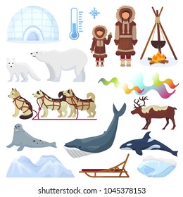 Arctic vector northern borealis norway and husky dog sledding sledge to yurta in snowy winter illustration polaris set of north ethnic characters animals and polar bear isolated on white background