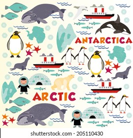 Arctic vs Antarctica