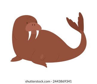 Arctic walrus animal. Arctic and antarctic animals, snow sea fauna cartoon vector illustration