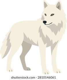 Arctic wolf three-quarter view with perked ears, full body pose, flat vector illustration for wildlife infographic, website banner and presentation slides