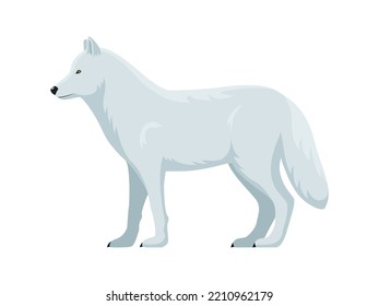 Arctic wolf. Vector illustration of white polar arctic wolf isolated on white. Flat design, side view.