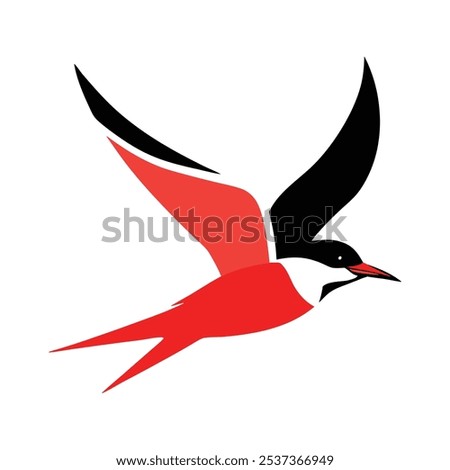 arctic-tern-in-flight vector illustration , this is a editable file.