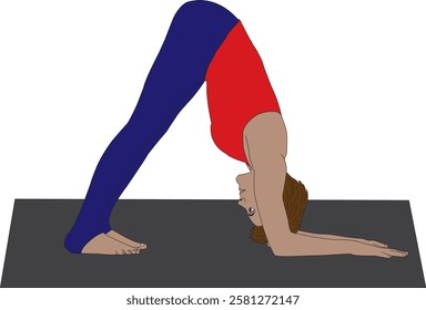 Ardha pincha mayurasana yoga asanas Dolphin pose vector