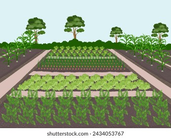 Area format of agricultural plots