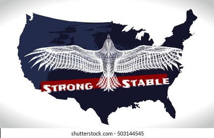 the area of the United States of America with sketch eagle