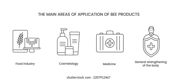 Areas of application of honey linear icons in vector.