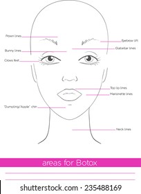 559 Botox areas Images, Stock Photos & Vectors | Shutterstock