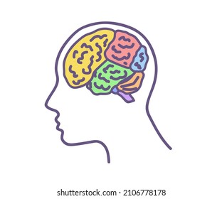 Areas of the brain and head. Symbol. Vector illustration.