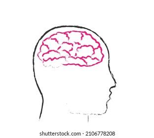Areas of the brain and head. Symbol. Vector illustration.