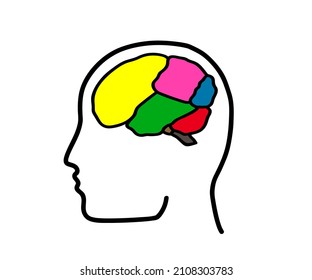 Areas of the brain and head. Symbol. Vector illustration.