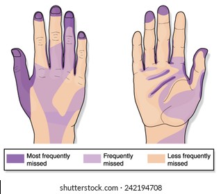 Areas of the hands frequently missed when cleaning. Created in Adobe Illustrator.  Contains transparencies.  EPS 10.