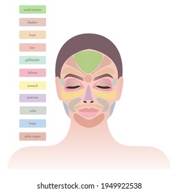 Areas on the face and main biological points. The areas of the face are responsible for the internal organs. Signs of various diseases on the face. Close-up of the girl's face. Skin health.