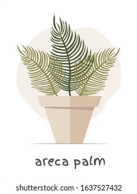 Areca palm in a flower pot in a flat style on a white background