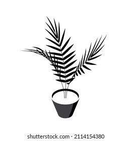 Areca palm isometric icon. Potted plant in flat style for interior designs. Black vector illustration isolated on a white background.