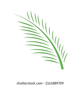 areca palm leaf icon design template vector illustration