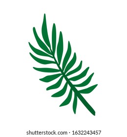 Areca palm leaf stylized vector illustration. Exotic tree branches. Jungle foliage design element. Botanical cartoon illustration. Leaves of palm tree isolated on white background.
