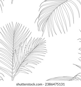 Areca palm leaves pattern line art for decorate your designs with tropical illustration isolated on white background