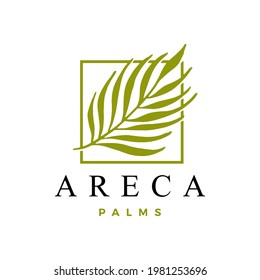 areca palm logo vector icon illustration