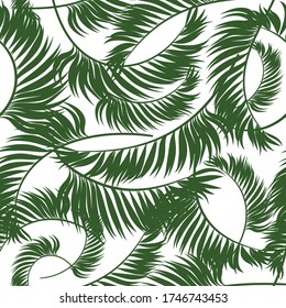 Areca palm sketch by hand drawing.Plam leaf vector pattern on white isolated background.Vector leaves seamless illustration.